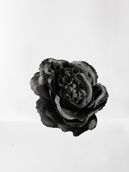 Melnas rožu ziedu galvas.