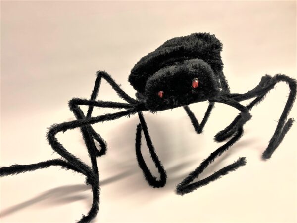 Spalvains zirneklis ar spīdošām acīm.