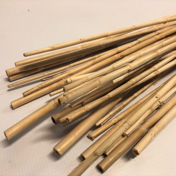 Bunte ar maziem bambusu kātiem.