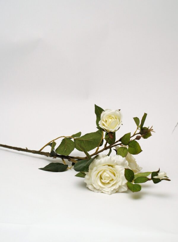 Baltas mākslīgās rozes.