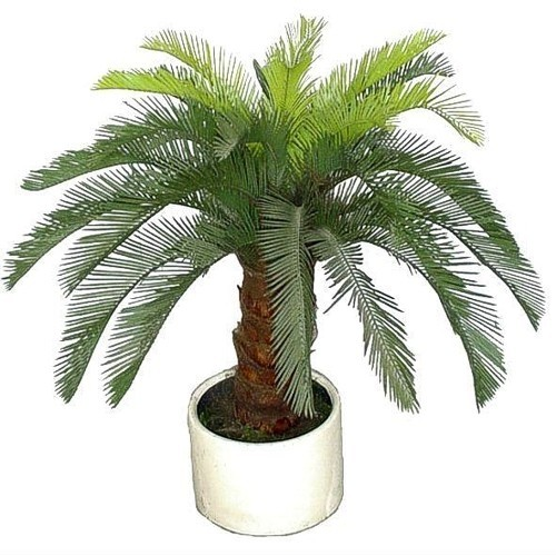 Mākslīgs palmas koks.